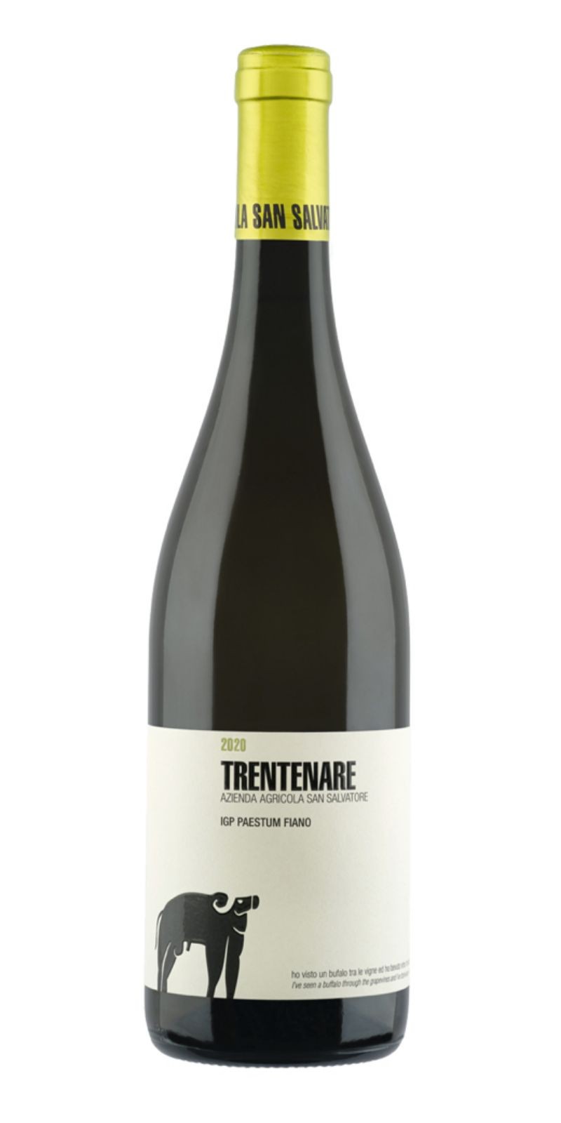 Trentenare Fiano