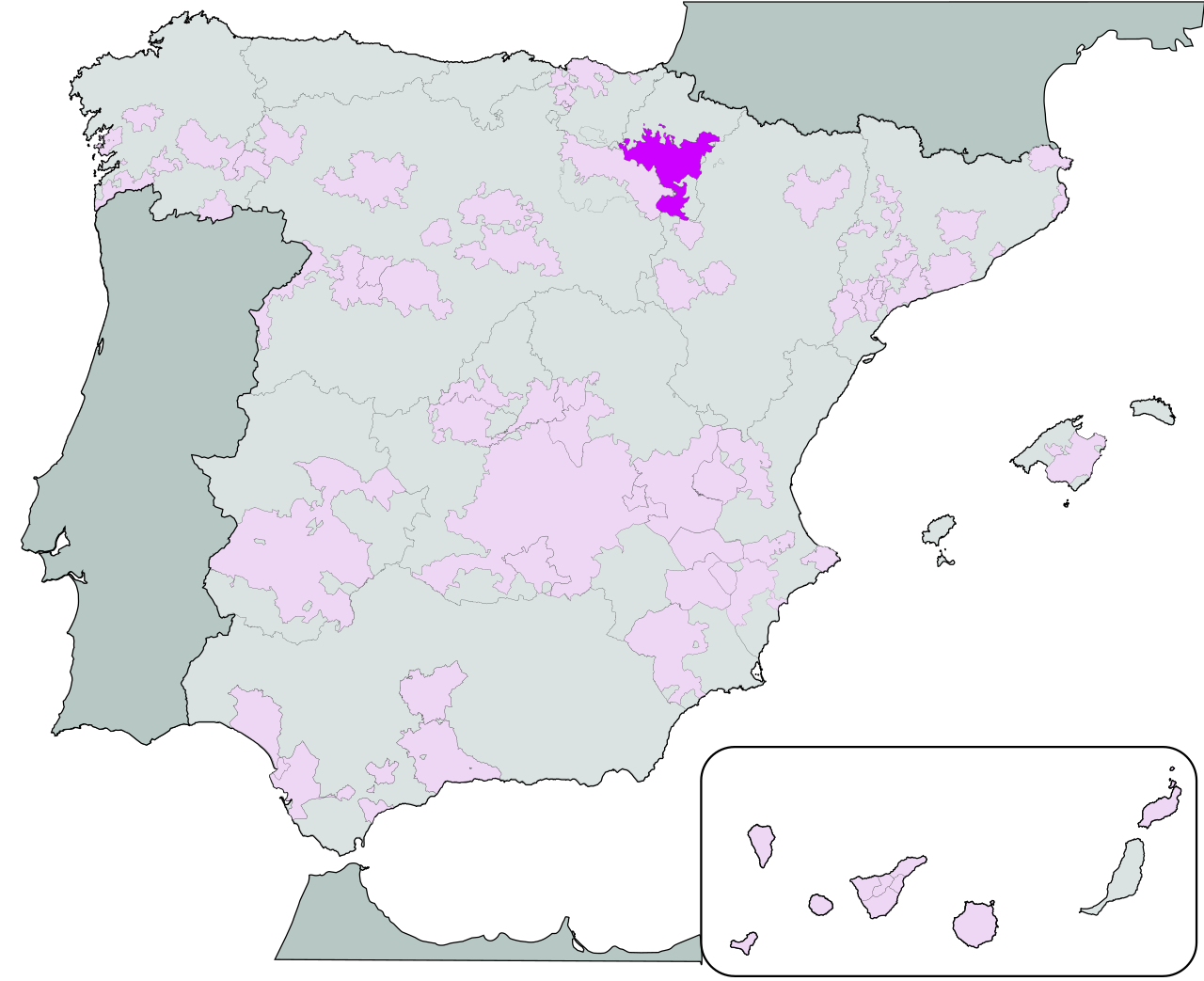 Picón, Pago de los Capellanes Crianza, D.O. Ribera del Duero