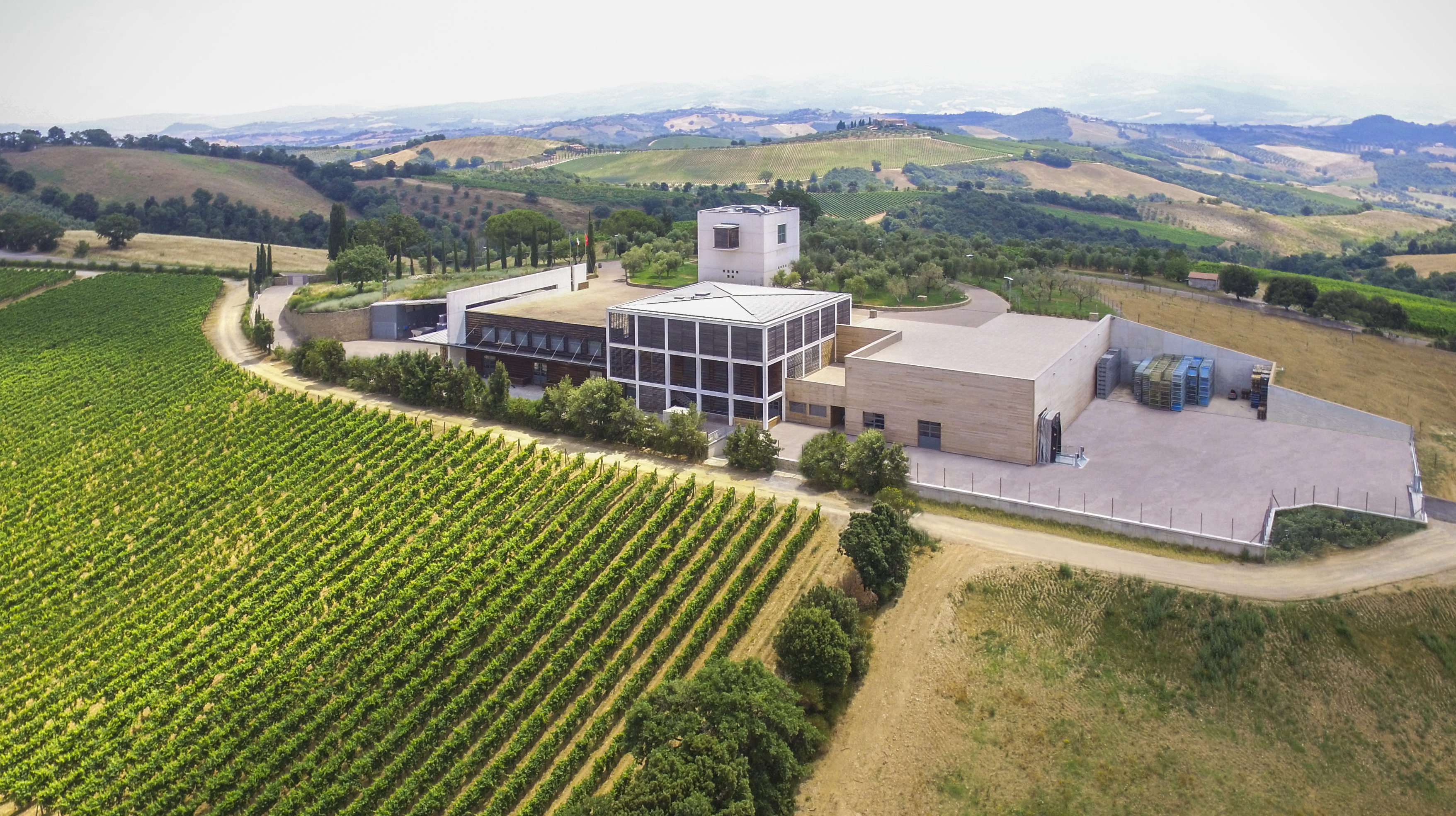 Ugolforte, Brunello di Montalcino, DOCG BIO