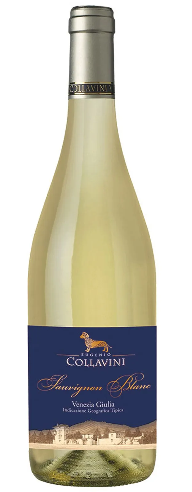 Collavini Sauvignon Blanc IGT 2024