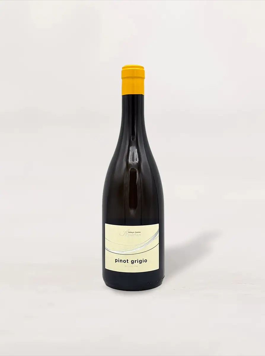 Pinot Grigio DOC