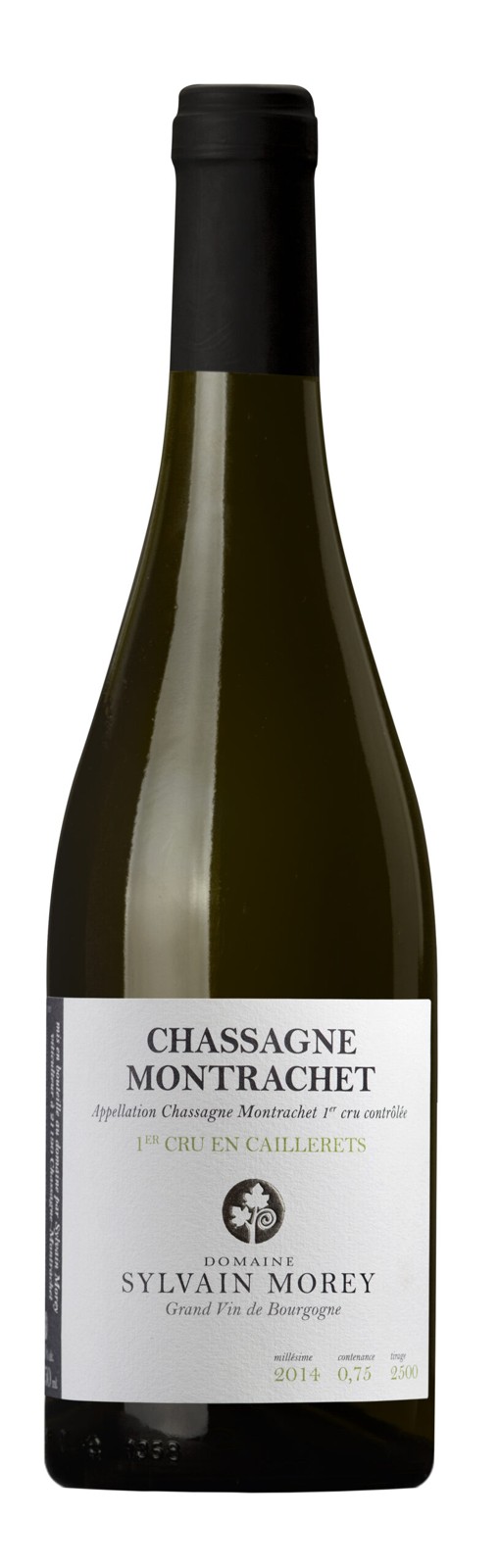 Chassagne Montrachet